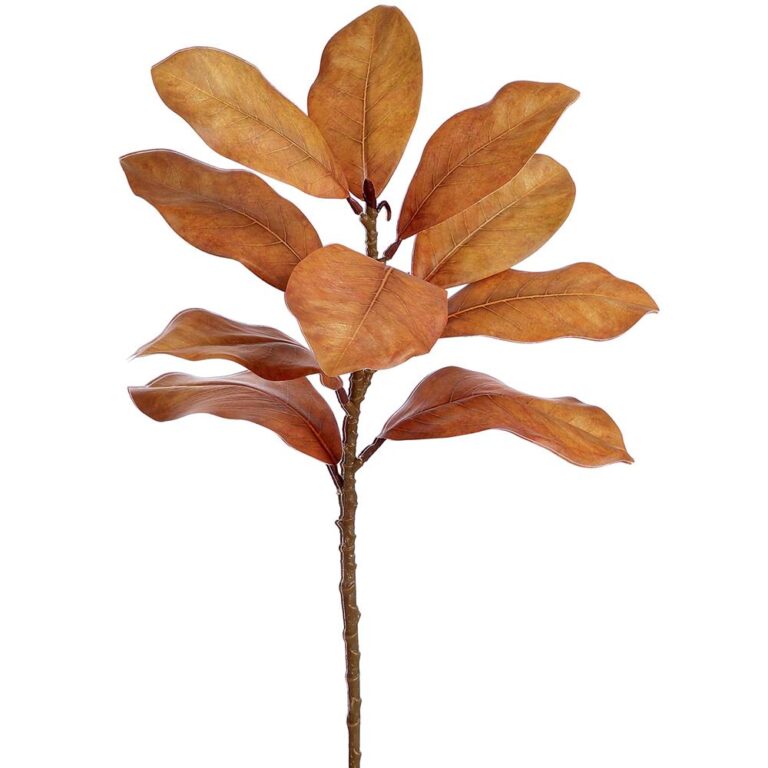 Magnolia Leaf Spray, Brown, 21.5in