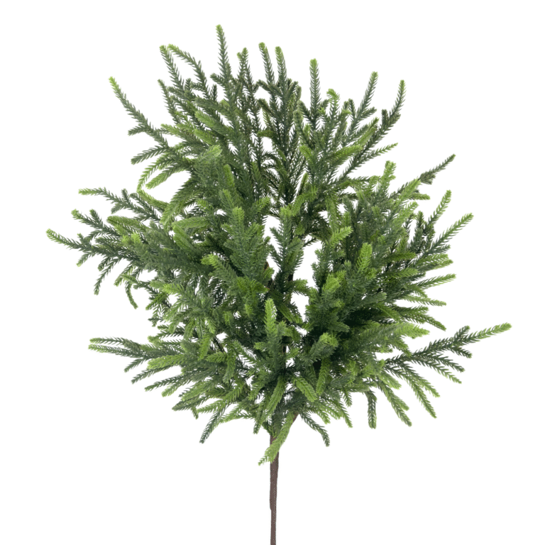 Norfolk Pine Spray, Green, 30in