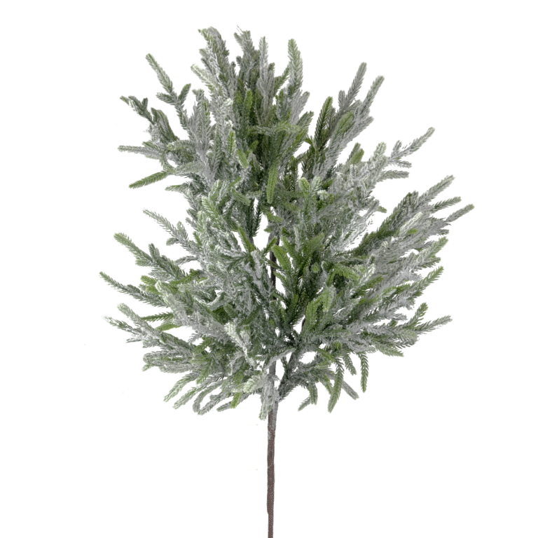 Norfolk Pine Spray, Green/White, 30in