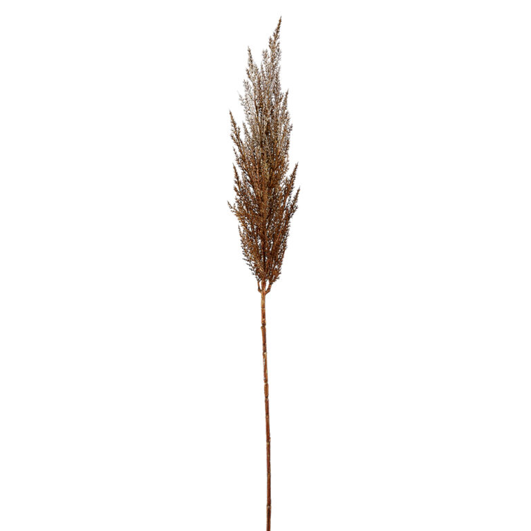 Pampas Grass Spray, Brown, 36in
