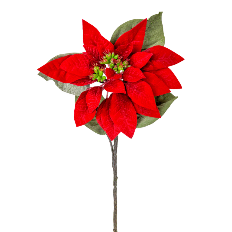 Velvet Poinsettia Stem, Red, 23in