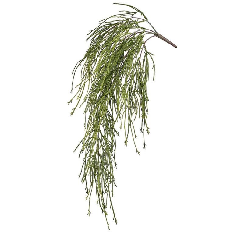 Club Moss Fern Hanging Bush, Green, 29.5in