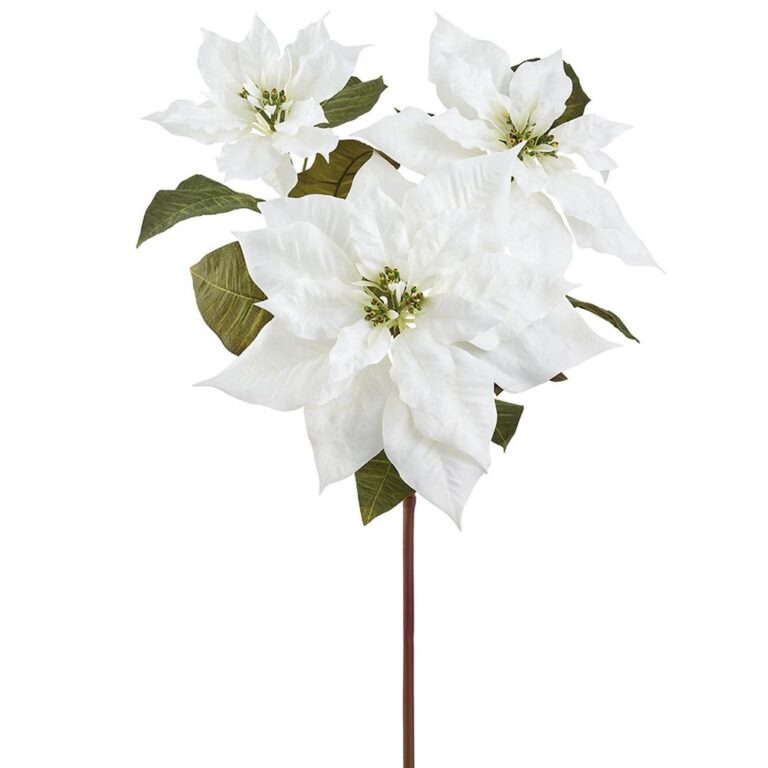 Poinsettia Spray, Cream, 28in