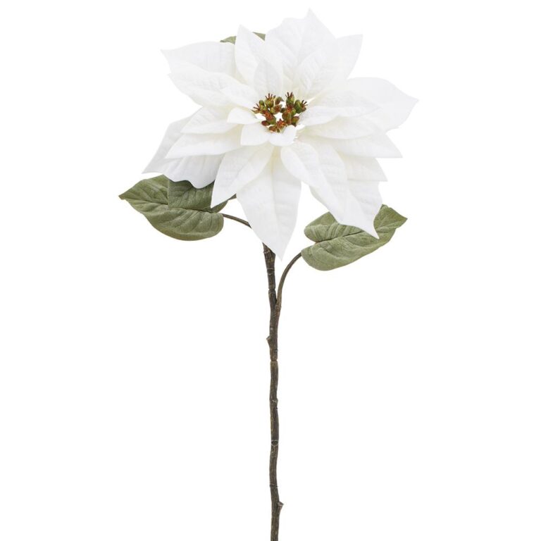 Velvet Poinsettia Spray, White, 23in