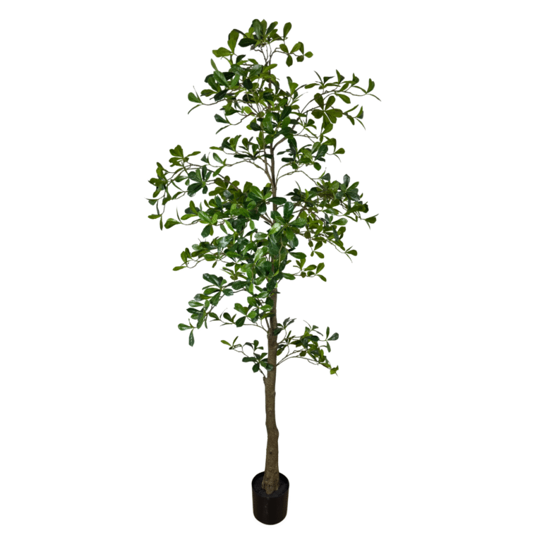 Shady Lady Tree, Green, 7ft