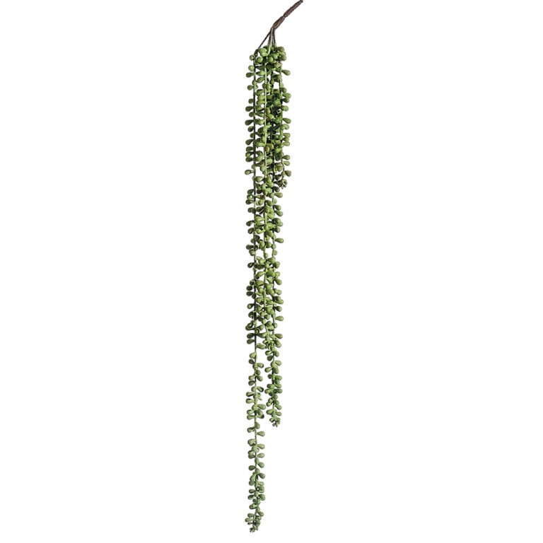 String of Pearl Spray, 28in