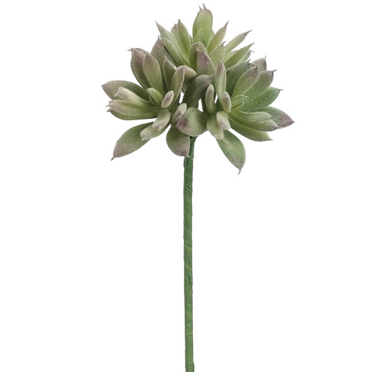 Sedum Bouquet Pick x3, Green/Grey, 10in