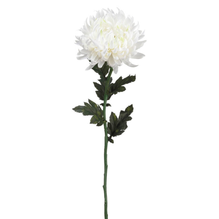 Chrysanthemum Spray, White, 24in
