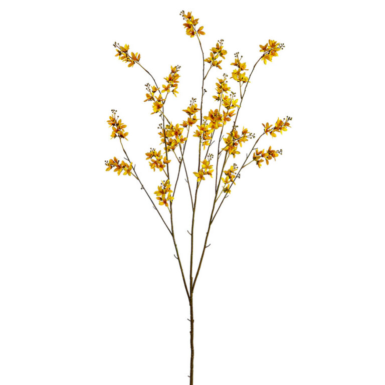 Forsythia Branch, 53in