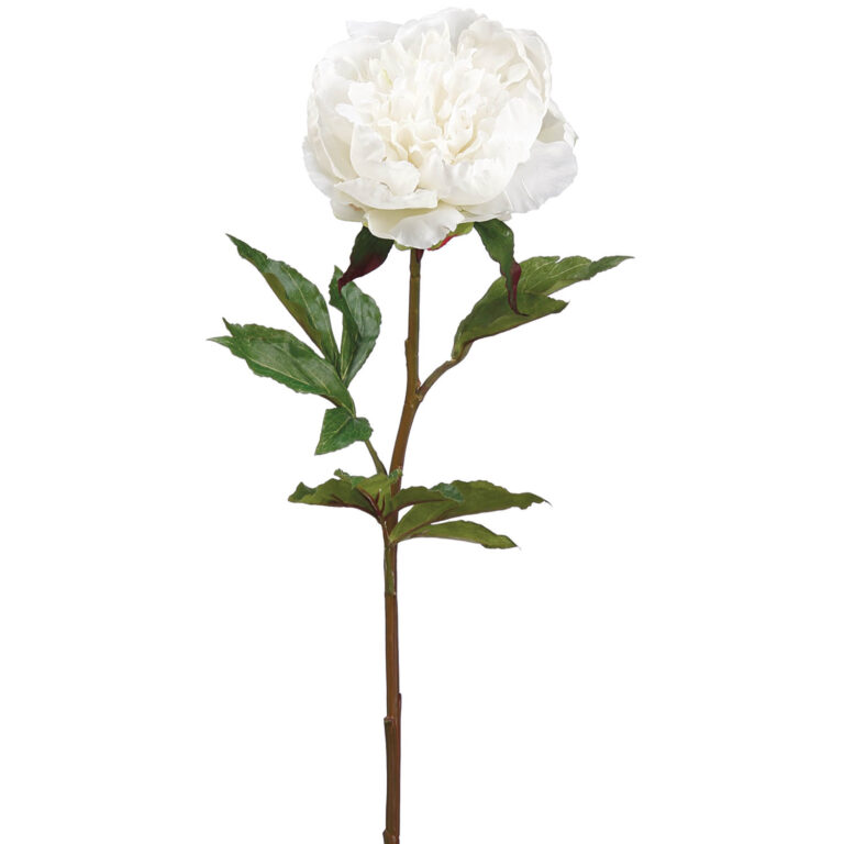 Real Touch Peony, Cream, 30in