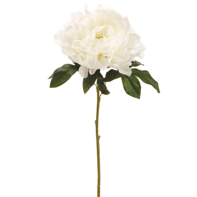 Peony Spray, White, 23in