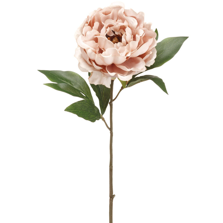 Peony Spray, Beige, 18.5in