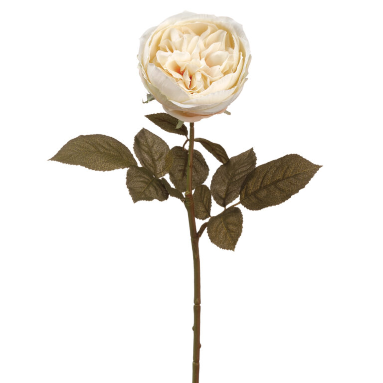 English Rose Spray, 27.5in