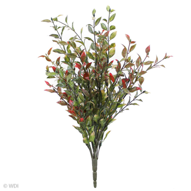 Fire Cracker Bush, Red, 18in
