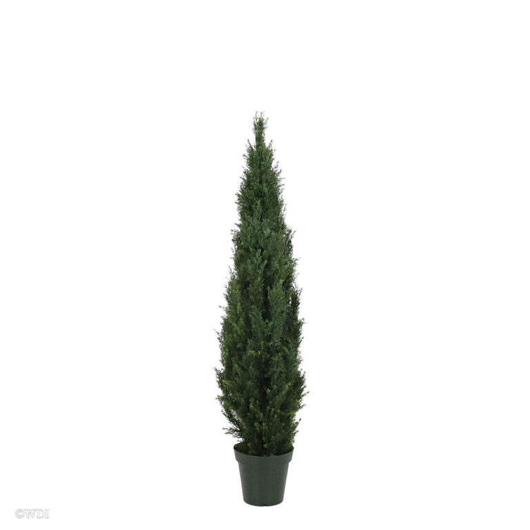 Tuscany Cedar, 5ft (UV)