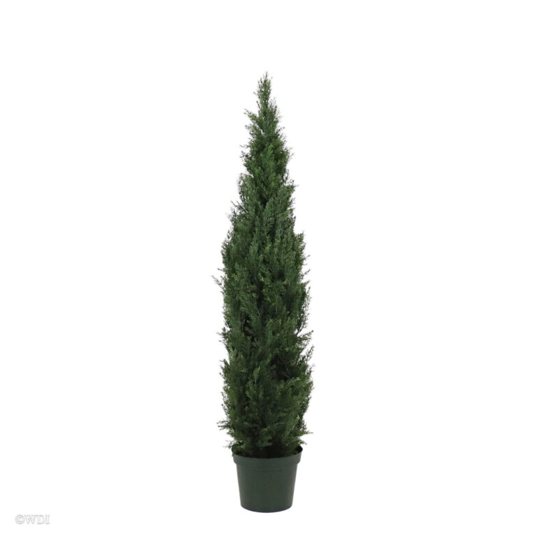 Tuscany Cedar, 6ft (UV)