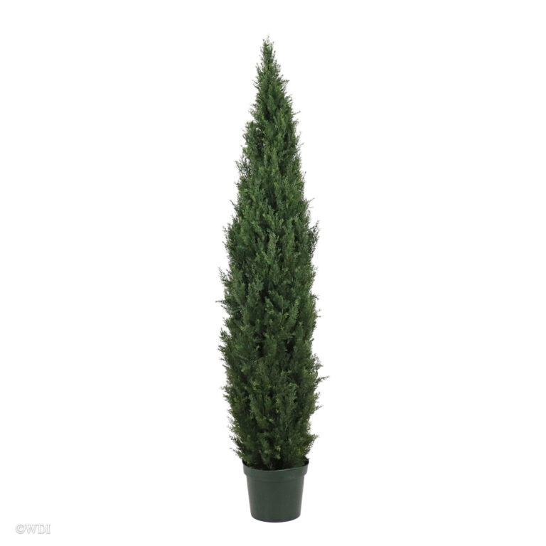 Tuscany Cedar, 7ft (UV)