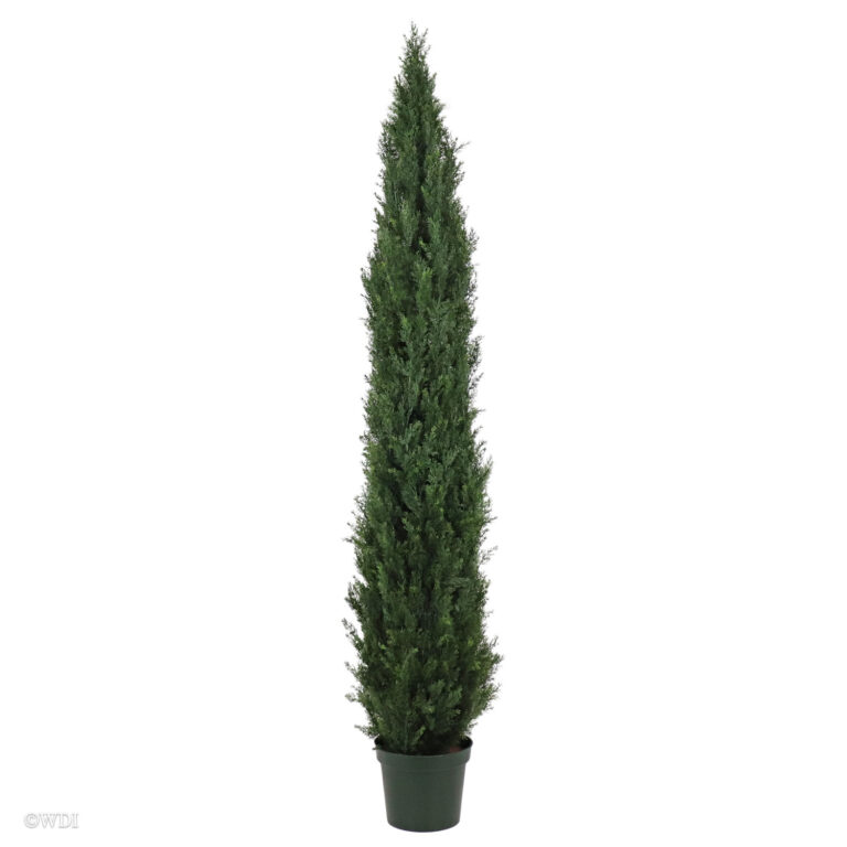 Tuscany Cedar, 8ft (UV)