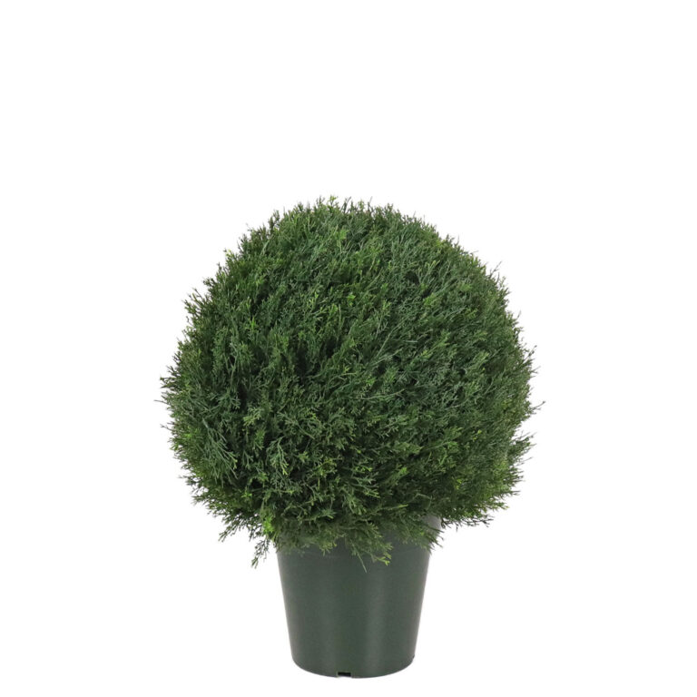 Cedar Prato Ball, 20in (UV)