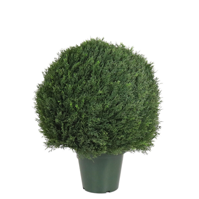 Cedar Prato Ball, 24in (UV)