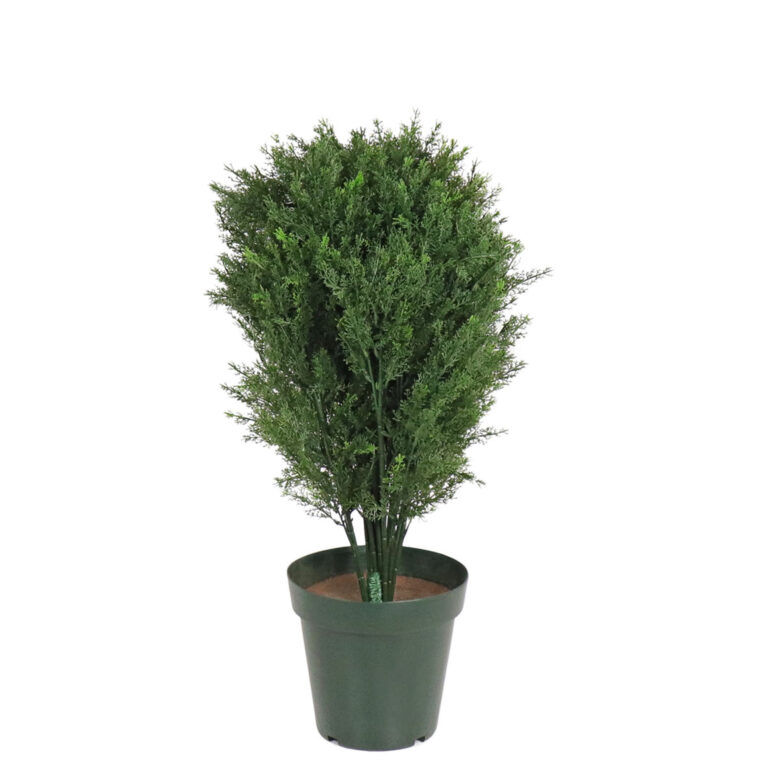 Mini Cedar Topiary, Green, 30in (UV)