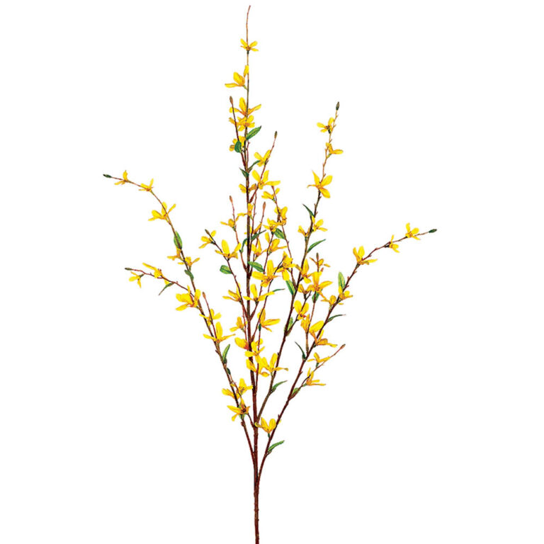 Forsythia Spray, 38in