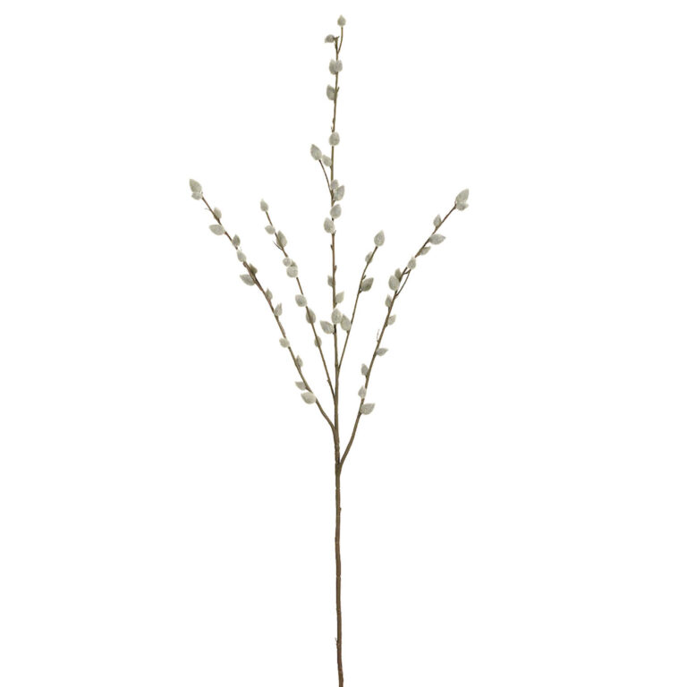 Pussy Willow Spray, 31in