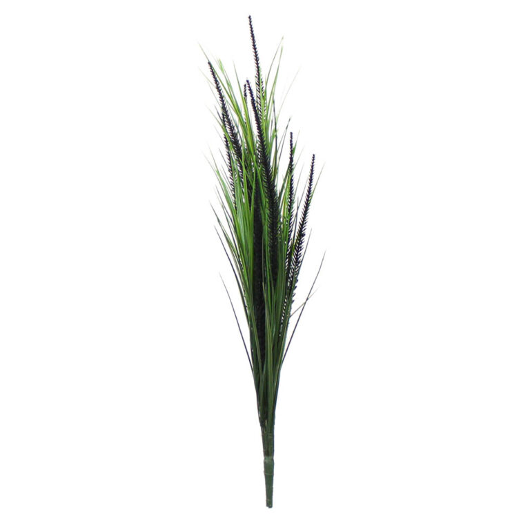 Grass w Black Foxtails Pick, Green, 24in