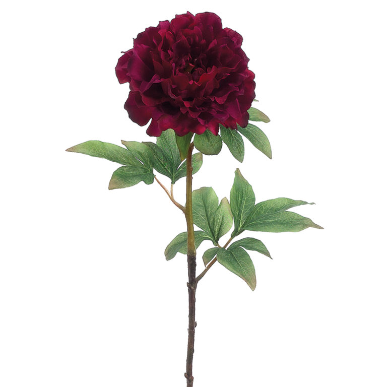 Peony Spray, 21in
