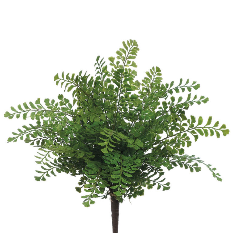Maiden Hair Pick, Green, 16in