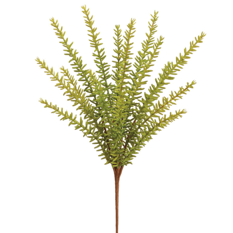 Rosemary Bush, Green, 13in