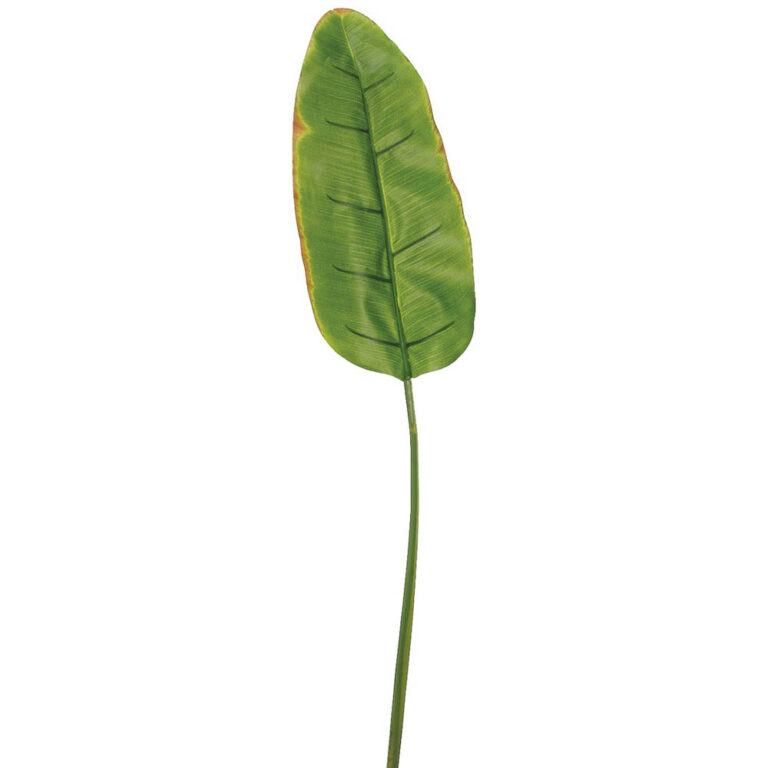 Banana Leaf Spray, 38in