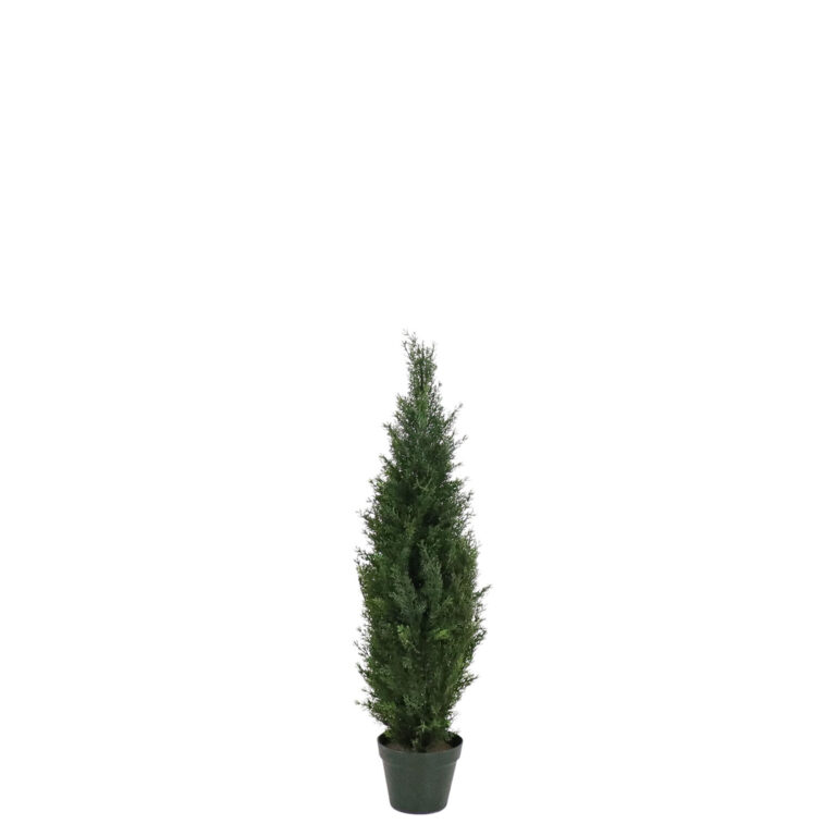 Tuscany Cedar, 3ft (UV)
