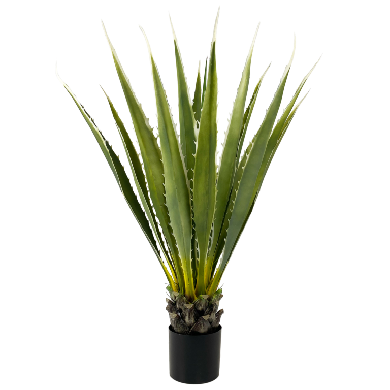 Agave Plant, 36in