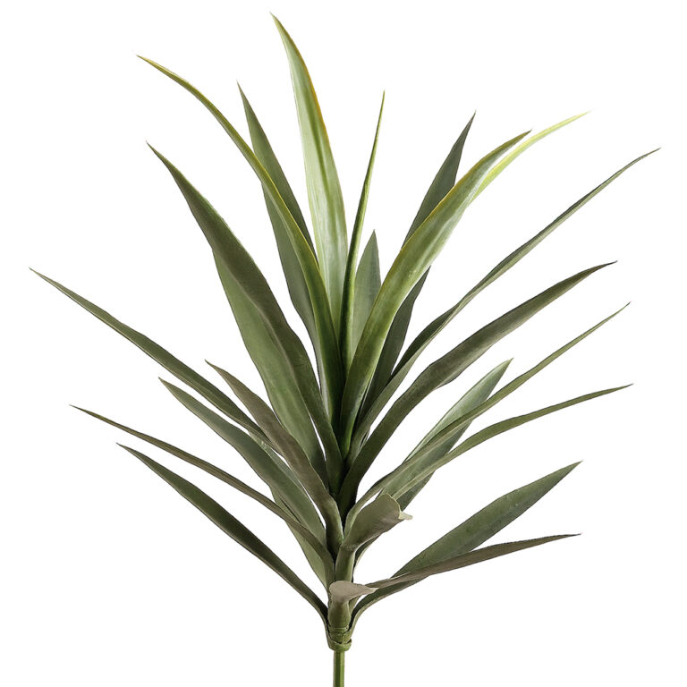 Yucca Plant, Green, 27in