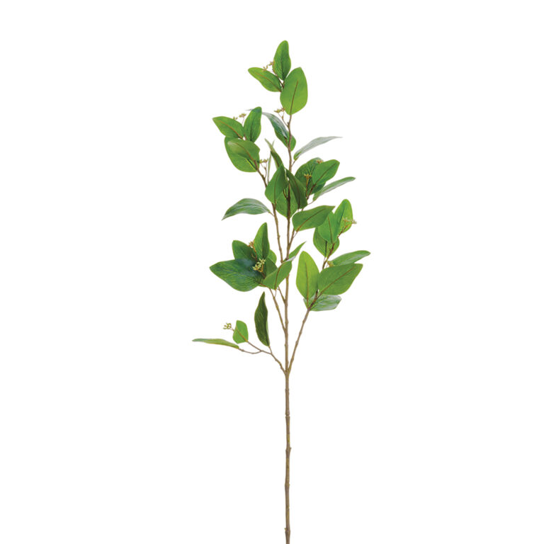 Eucalyptus Spray, 45in