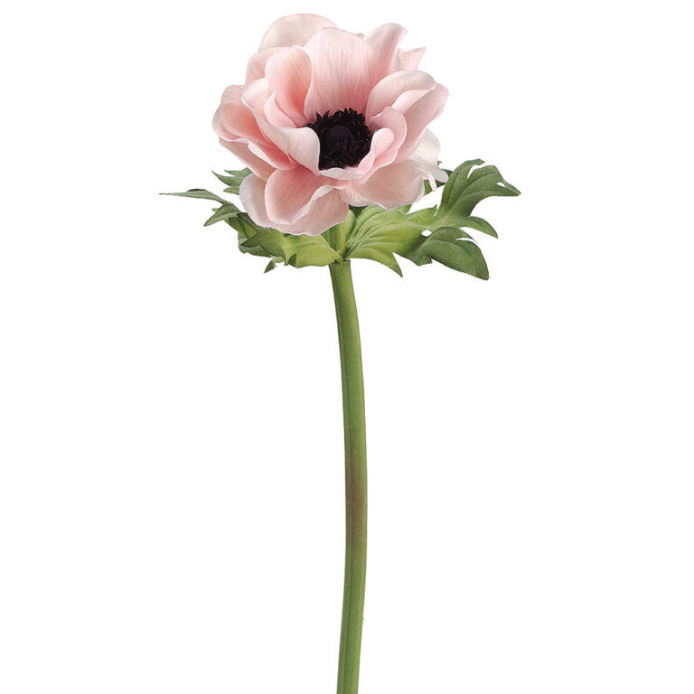 Anemone Stem, Pink/Black 17in