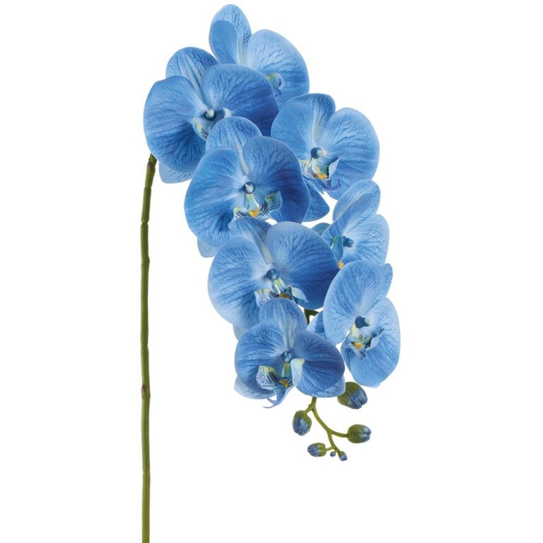 Phalaenopsis Spray, Blue, 37in