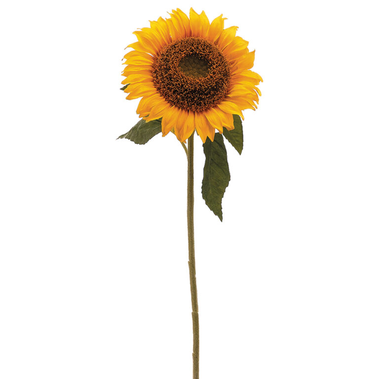 Sunflower, Yellow, 24.5in