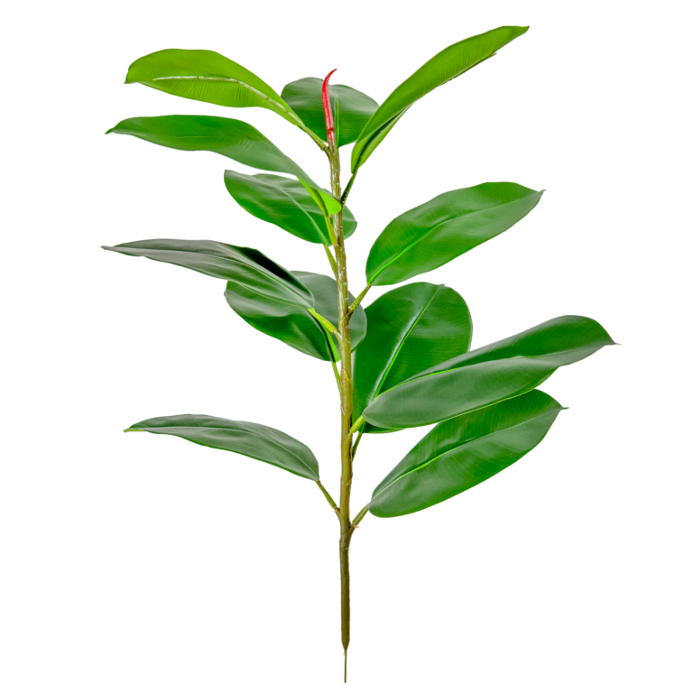 Rubber Plant Stem, Green, 26in