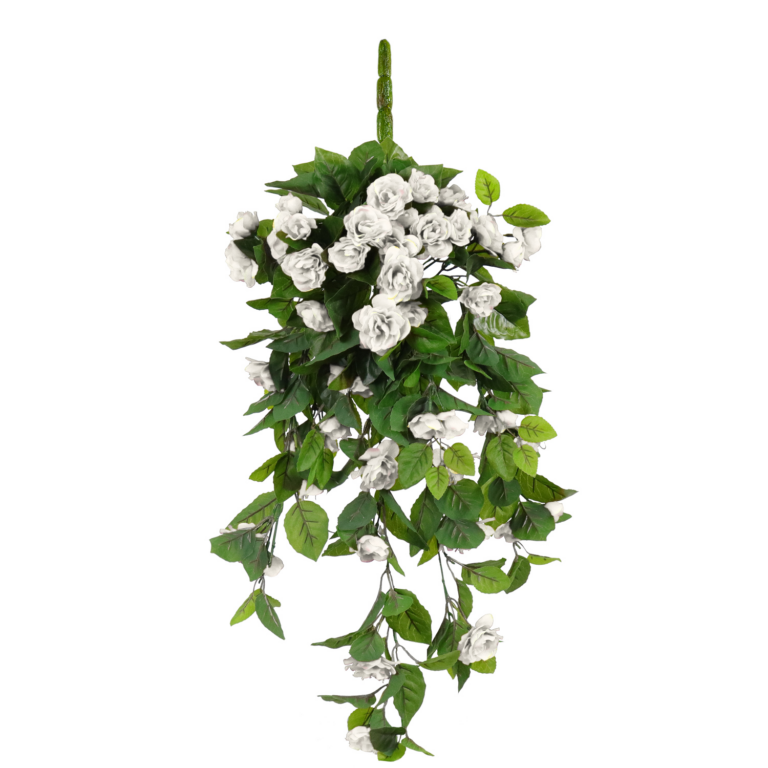 Camelia Hanging Vine, White, 24in (UV)