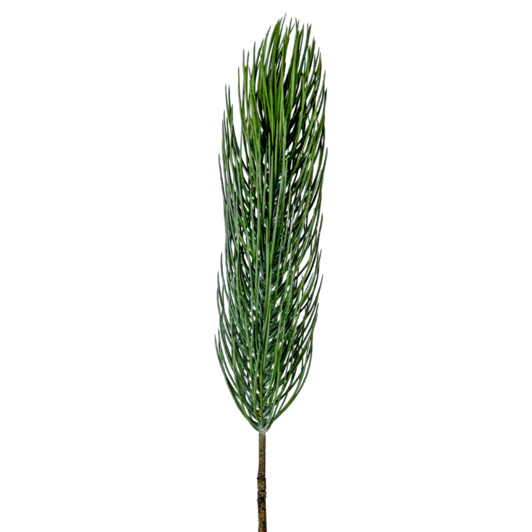 Pine Stem, Green, 39in