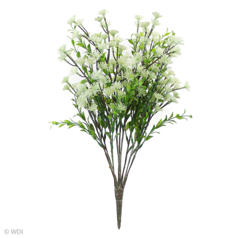 Queen Lace Bush, White, 17in