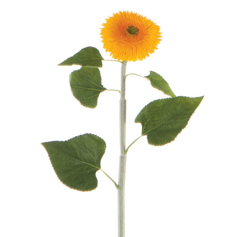 Sunflower Teddy Spray, Yellow, 39.5in
