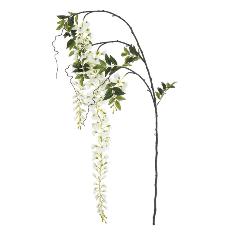 Japanese Wisteria, White, 62.5in