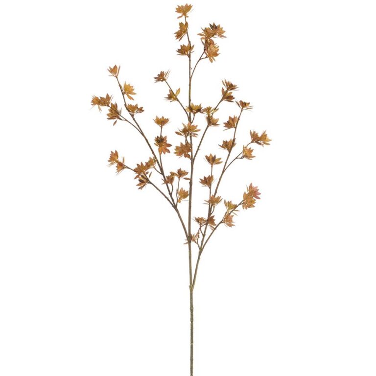 Flowering Pod Spray, Dark Brown 42"