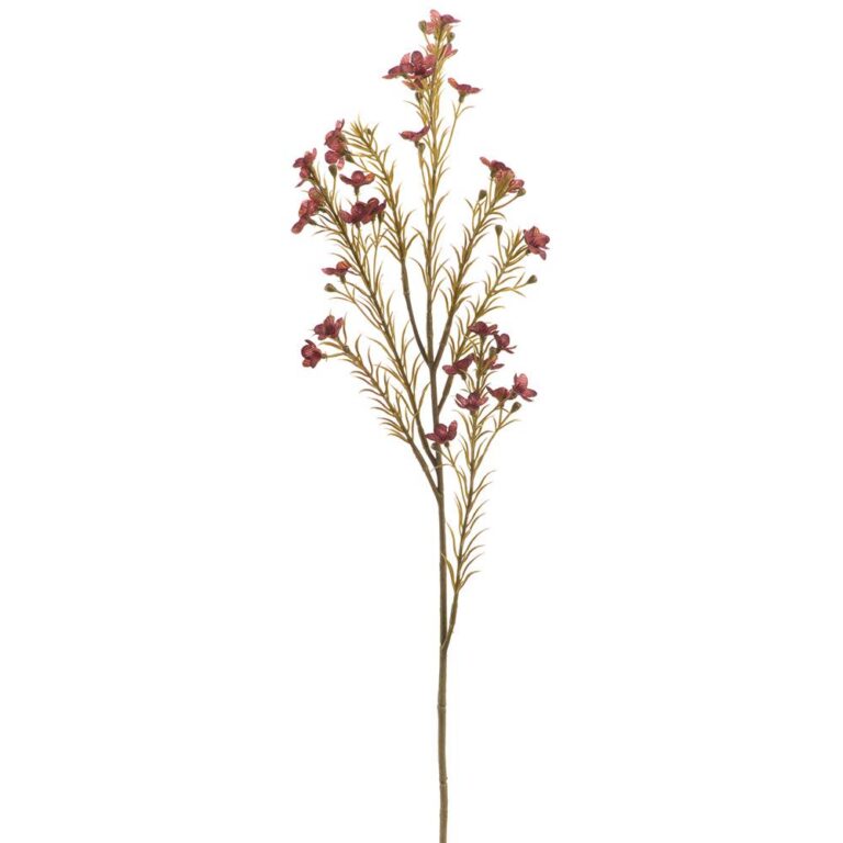 Waxflower Spray, Burgundy, 23.5"