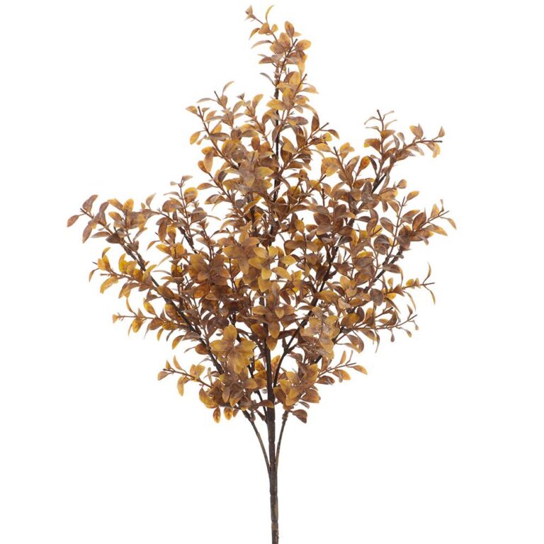 Tea Leaf Bush, Tan Brown 23"