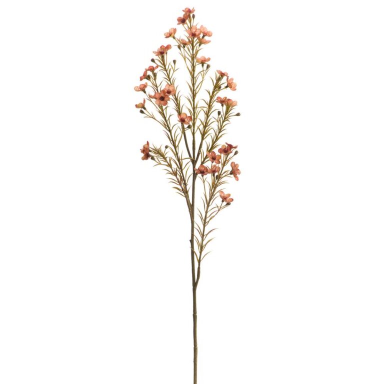 Waxflower Spray, Salmon, 23.5"