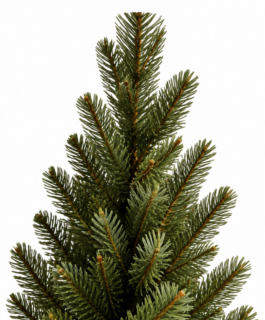 Close-up of a slim artificial Christmas tree with a narrow silhouette